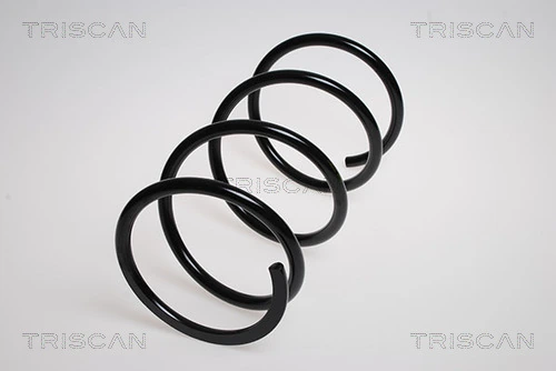 Ressort de suspension TRISCAN 8750 4251