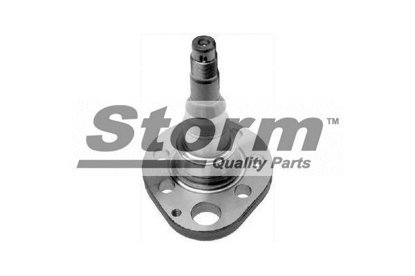 Fusée d'essieu, suspension de roue STORM QUALITY PARTS F6048