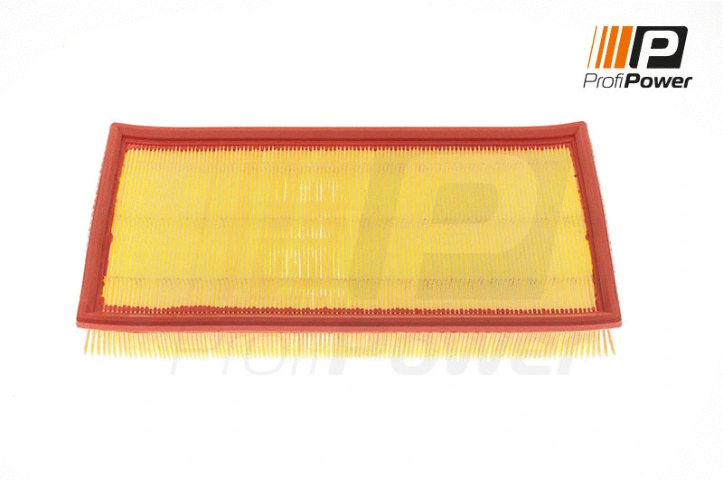 Filtre à air ProfiPower 2F0098
