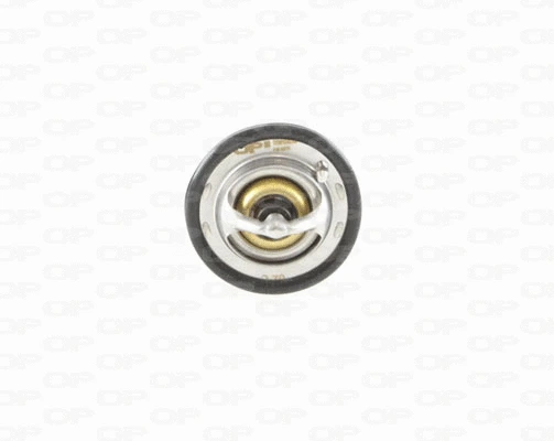 Thermostat, liquide de refroidissement OPEN PARTS TRM1080.00
