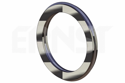 Bague d'étanchéité, tuyau d'échappement ERNST 493123
