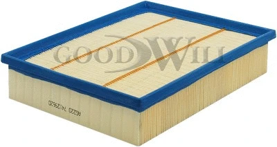 Filtre à air GOODWILL AG 220
