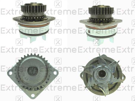 Pompe à eau, refroidissement du moteur EXTREME 98980211
