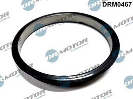 Bague d'étanchéité, pompe à vide LIZARTE DRM0467