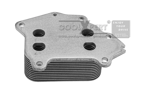 Radiateur d'huile BBR Automotive 001-10-21403