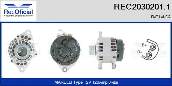 Alternateur RECOFICIAL REC2030201.1