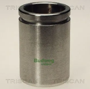 Piston, étrier de frein TRISCAN 8170 234412