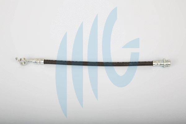 Flexible de frein RICAMBIFLEX GM 02190022