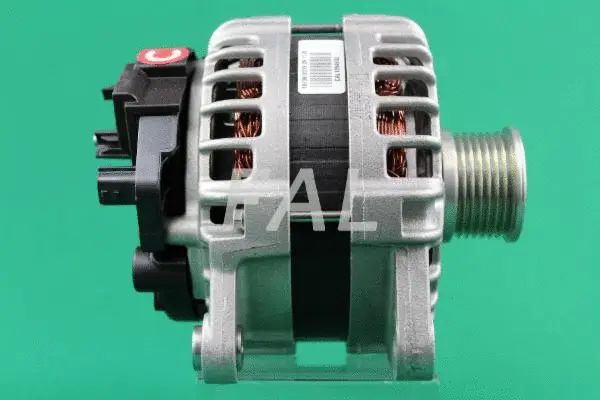 Alternateur FAL Anlasser- und Lichtmaschinenservice F013573/1
