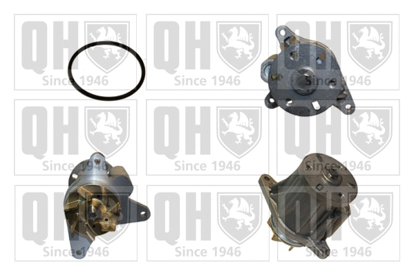 Pompe à eau, refroidissement du moteur QUINTON HAZELL QCP3786