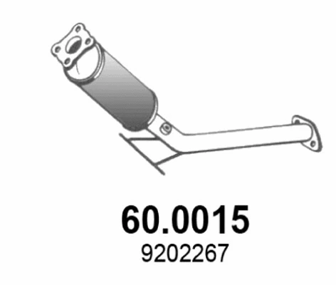 Catalyseur ASSO 60.0015