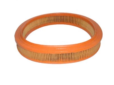 Filtre à air AVS AUTOPARTS R176