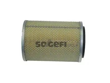Filtre à air FRAM CA4219