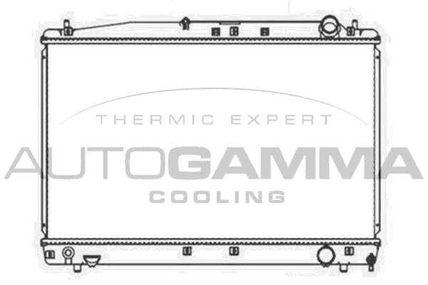 Radiateur, refroidissement du moteur AUTOGAMMA 103713