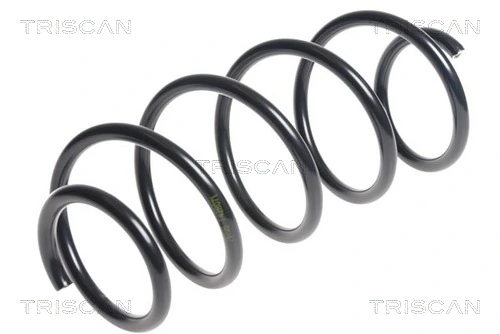 Ressort de suspension TRISCAN 8750 28243
