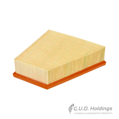 Filtre à air GUD AG1049