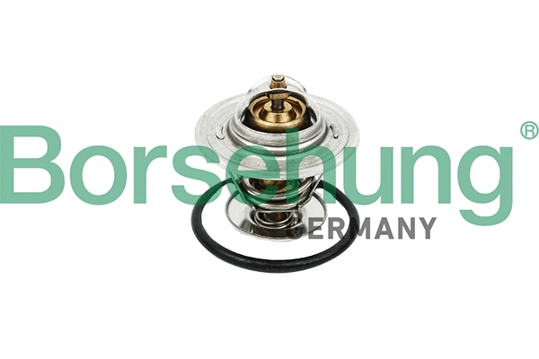 Thermostat, liquide de refroidissement Borsehung B18258