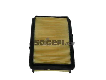 Filtre à air FRAM CA6807
