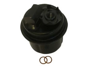 Filtre à carburant ACDelco Oceania ACF53