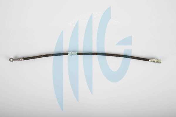 Flexible de frein RICAMBIFLEX GM 02070014