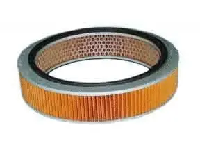 Filtre à air ACDelco Oceania ACA77