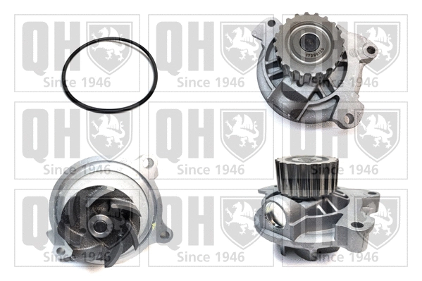 Pompe à eau, refroidissement du moteur QUINTON HAZELL QCP3620HP