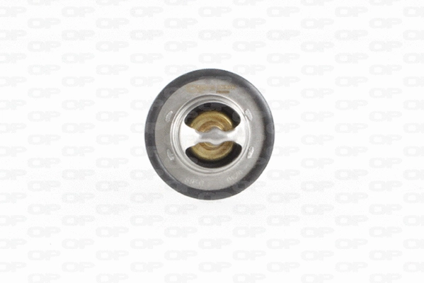 Thermostat, liquide de refroidissement OPEN PARTS TRM1011.00