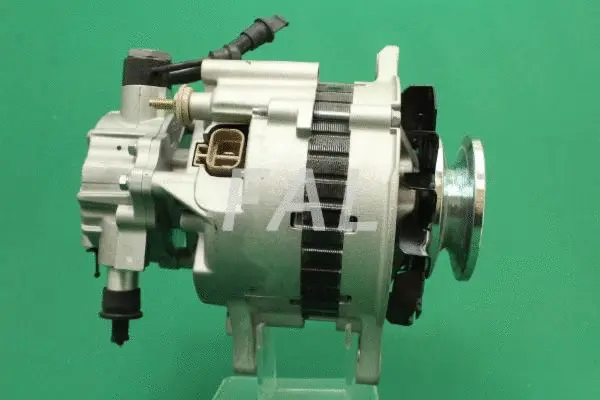 Alternateur FAL Anlasser- und Lichtmaschinenservice F003017/1