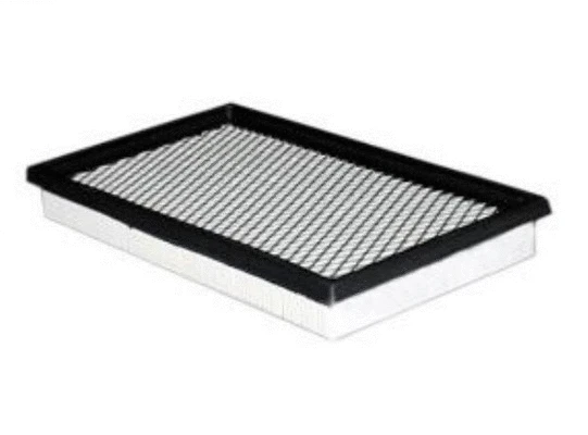 Filtre à air ACDelco Oceania ACA53
