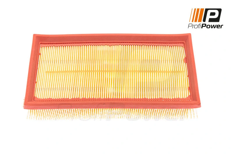 Filtre à air ProfiPower 2F0100