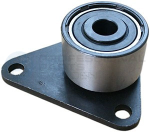 Poulie renvoi/transmission, courroie crantée Professional Parts 21436258