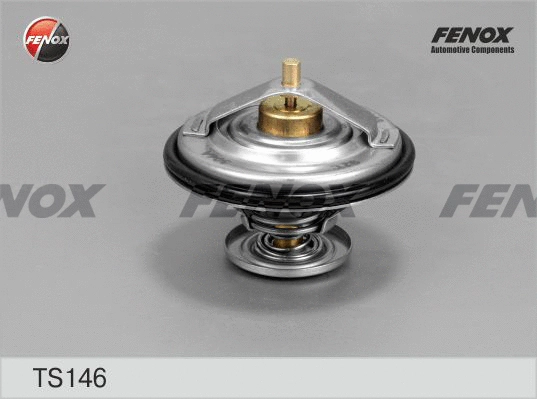 Thermostat, liquide de refroidissement FENOX TS146