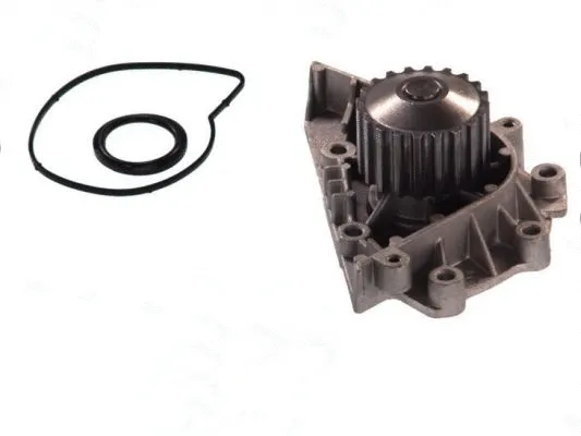 Pompe à eau, refroidissement du moteur THERMOTEC D1P042TT