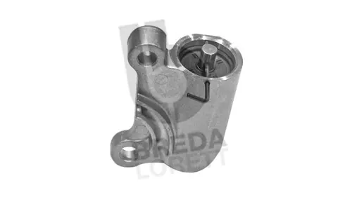 Amortisseur de vibrations, courroie crantée BREDA LORETT TDI5281