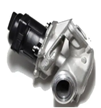 Vanne EGR ASSO 70.0068