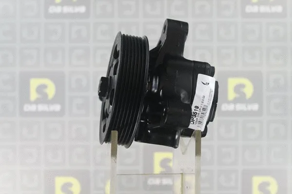 Pompe hydraulique, direction DA SILVA DP3519