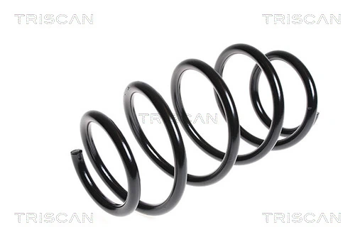 Ressort de suspension TRISCAN 8750 1489