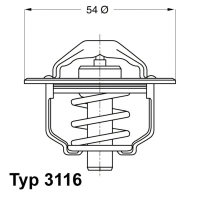 Thermostat, liquide de refroidissement BorgWarner (Wahler) 3116.82D