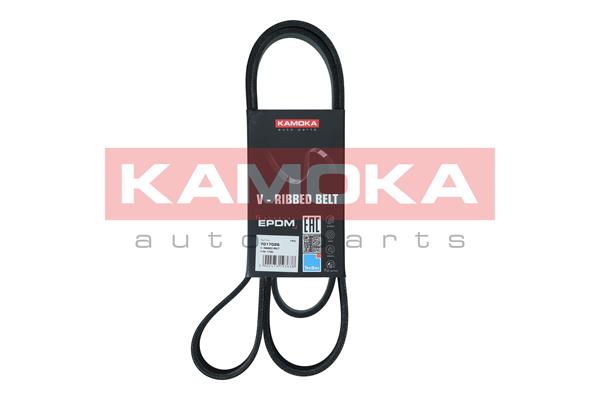 Courroie trapézoïdale à nervures KAMOKA 7017026