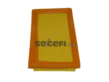 Filtre à air TECNOCAR A443