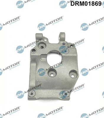 Support, compresseur LIZARTE DRM01869