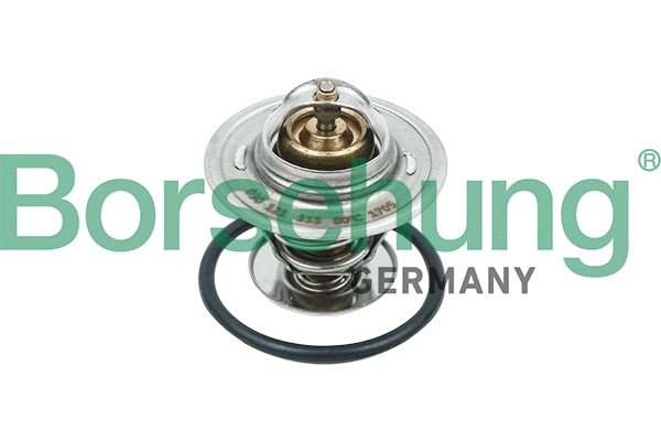 Thermostat, liquide de refroidissement Borsehung B18234