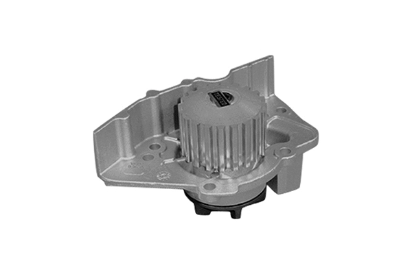 Pompe à eau, refroidissement du moteur SKF Brazil VKPC 83635