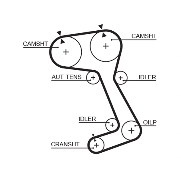 Courroie crantée GATES 5364XS