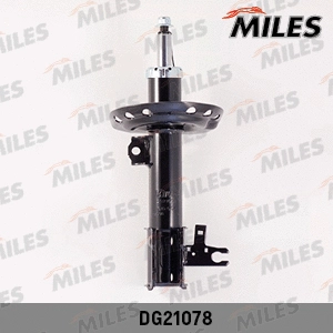 Amortisseur MILES DG21078