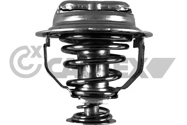 Thermostat, liquide de refroidissement CAUTEX 774564