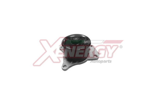Pompe à eau, refroidissement du moteur AP XENERGY X208063