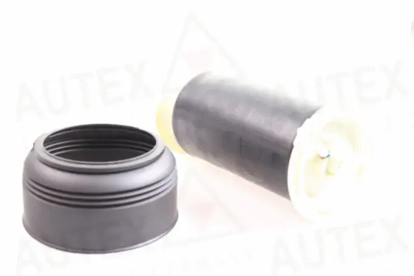 Ressort pneumatique, châssis AUTEX 933065
