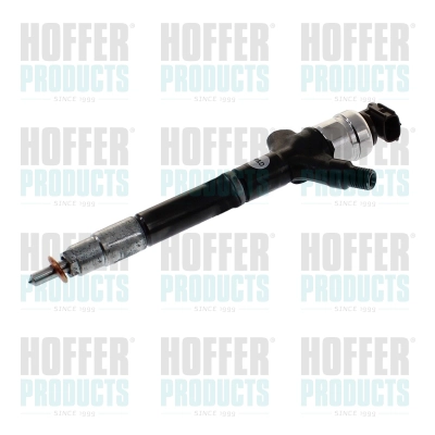 Injecteur HOFFER H74271R