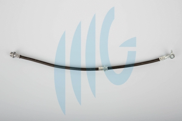 Flexible de frein RICAMBIFLEX GM 02101156